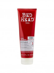 Bed Head Urban Anti Plus Dotes Resurrection Shampoo 250مل