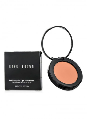 Pot Rouge Blusher 24 Fresh Melon