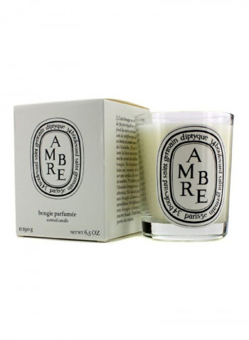 Ambre Scented Candle Green/Clear 6.5ounce