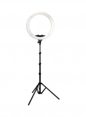 Nuada Ring 60 LED Light Black/White reviews Nuada Ring 60 LED Light Black/White