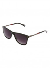 Wayfarer Frame Sunglasses