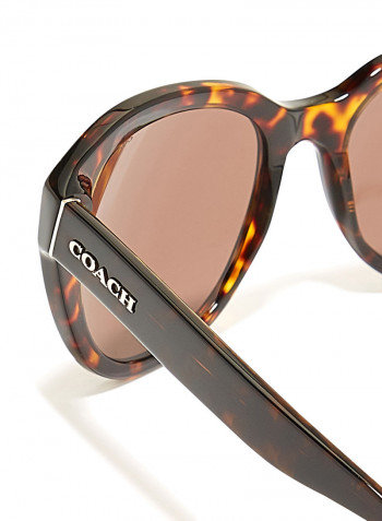Women's Clubmaster Sunglasses
