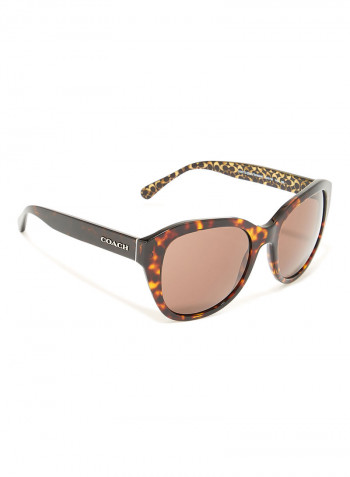 Women's Clubmaster Sunglasses