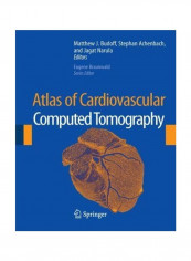 Atlas Of Cardiovascular Computed Tomography Hardcover