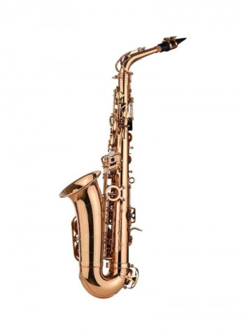Brass Alto Saxophone Wind Instrument And Accessories Set