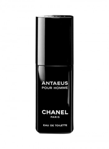 Antaeus Pour Homme EDT 100ml