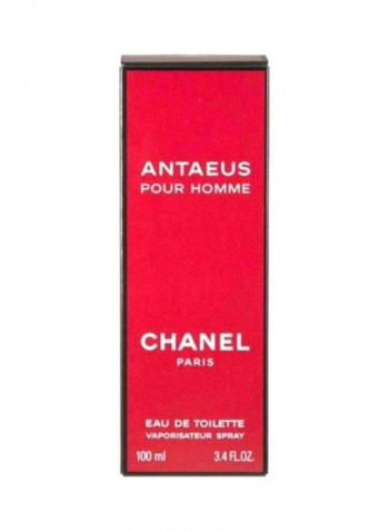 Antaeus Pour Homme EDT 100ml