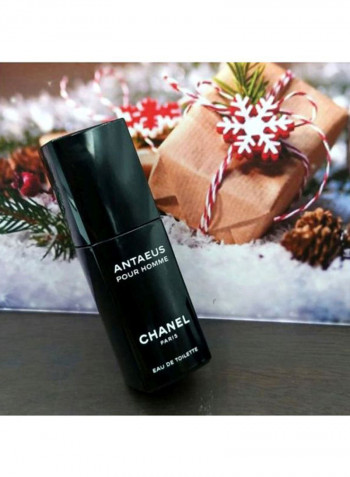 Antaeus Pour Homme EDT 100ml