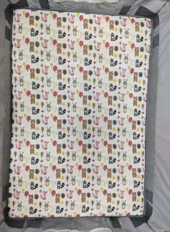 Removable Bassinet