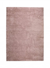 Villeple Area Rug Rose