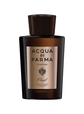 Colonia Oud EDC 100ml