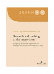 Research And Teaching At The Intersection Paperback English by Anna Camps