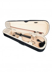 3-Piece 4/4 Violin With Gig Bag And Bow