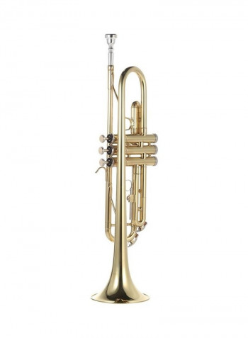 B Flat Brass Trumpet With Mouthpiece Valve Oil Gloves Strap Case