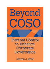 Beyond Coso: Internal Control to Enhance Corporate Governance Paperback