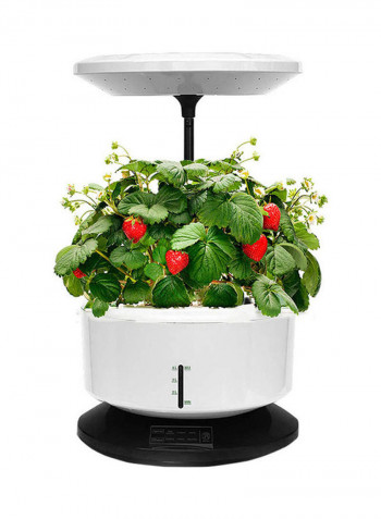 Indoor Harvesting System White/Green 60 x 31.2cm