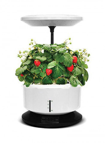 Indoor Harvesting System White/Green 60 x 31.2cm