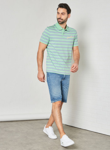 Striped Cotton Polo Green