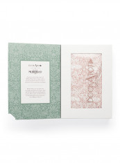 Deluxe+ Cover - Brer Rabbit
