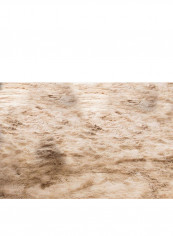 Living Room Home Carpet Brown L