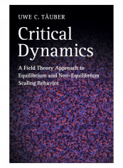 Critical Dynamics Hardcover