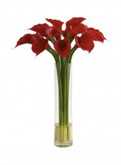 Calla Lily With Cylinder Vase Red/Green/Clear reviews Calla Lily With Cylinder Vase Red/Green/Clear