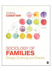Sociology Of Families Paperback 1st Edition