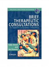 Brief Therapeutic Consultations: An Approach to Systemic Counselling Paperback