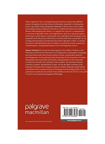 A Syncretistic Theory of Depiction Hardcover