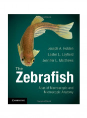 The Zebrafish Paperback 1