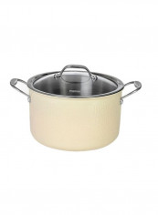 Brigitte Stainless Steel Saucepan With Lid Beige/Silver/Clear 5L