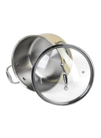 Brigitte Stainless Steel Saucepan With Lid Beige/Silver/Clear 5L