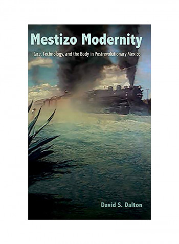 Mestizo Modernity: Race, Technology, And The Body In Post-Revolutionary Mexico Hardcover