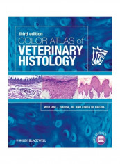 Color Atlas Of Veterinary Histology Hardcover English by William J. Bacha Jr