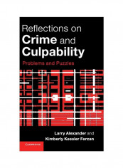 Reflections On Crime And Culpability: Problems And Puzzles Hardcover