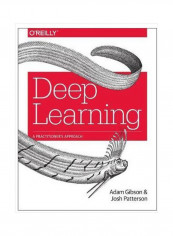 Deep Learning : A Practitioner's Approach Paperback