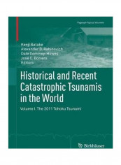 Historical and Recent Catastrophic Tsunamis in the World: Volume I. The 2011 Tohoku Tsunami Paperback English by Kenji Satake