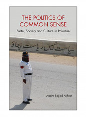 The Politics Of Common Sense Hardcover