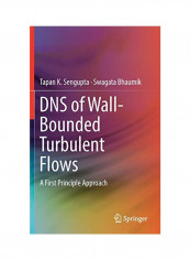 DNS Of Wall-Bounded Turbulent Flows Hardcover