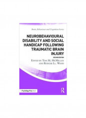 Neurobehavioural Disability And Social Handicap Following Traumatic Brain Injury Paperback 2