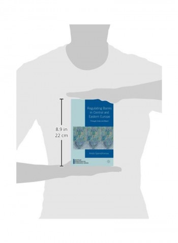 Regulating Banks in Central and Eastern Europe Paperback