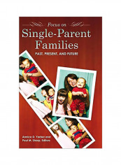 Focus On Single-Parent Families: Past, Present, And Future Hardcover