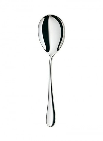 Scratch Resistant Spoon Silver