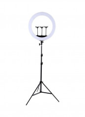 LED Tripod Mount Ring Light 21inch Black