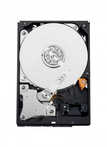 Surveillance Internal Hard Drive 2TB Black/Silver