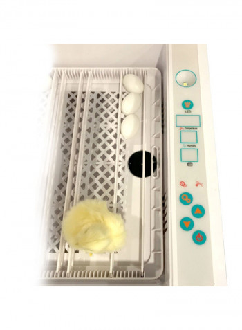 Automatic Digital Egg Incubator White/Grey/Black 53centimeter