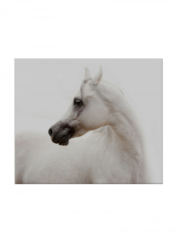White Horse On Canvas Painting White 70x60centimeter