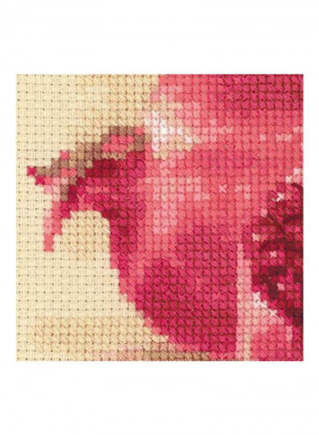 14-Piece Pomegranate Cross Stitch Kit Pink/Gold/White