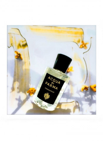 Signature Sakura EDP 100ml