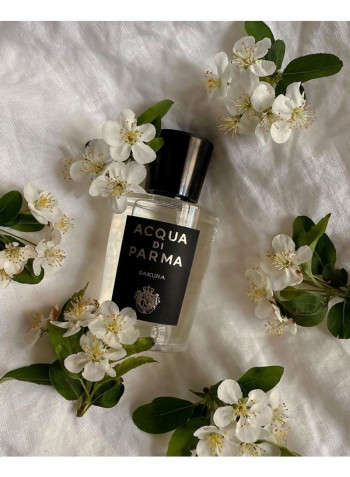 Signature Sakura EDP 100ml